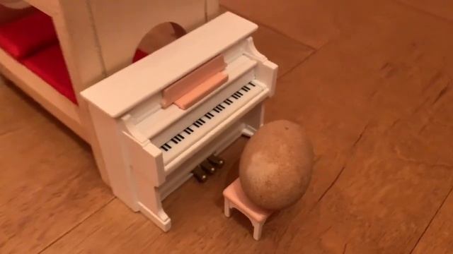 My Pet Rock Is A GENIUS смотреть онлайн
