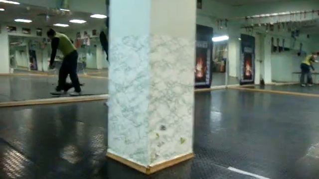 Такса стандартная длинношерстная. смотреть онлайн