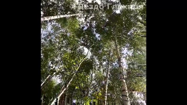 Летний день в "Гнезде глухаря" смотреть онлайн
