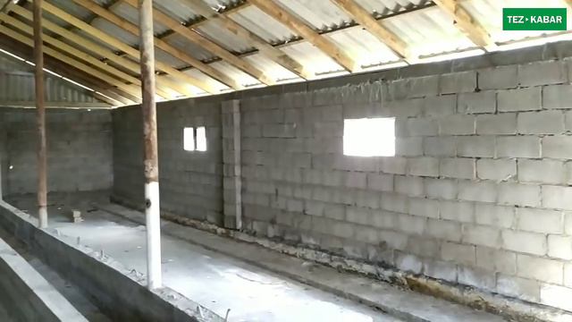 АРЗАН айтып жатат! Дерзкий САРАЙ сатылат | Жери 30 соток | Букага, Саан уйга, Койго, Жылкыга смотреть онлайн