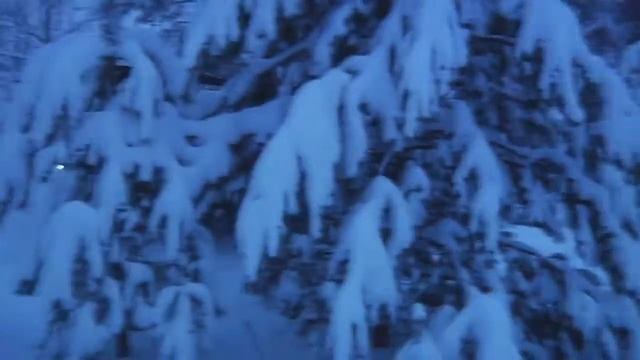 Пелец Мини 3 прет по зимнему лесу смотреть онлайн