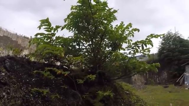 Нашли заброшенный самолет на о.Бали смотреть онлайн