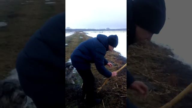 Прогулка с Лораном 14.02.2016 смотреть онлайн