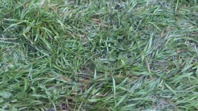 Рыбалка на платнике "Клёвое Место" 12.09.2014 смотреть онлайн