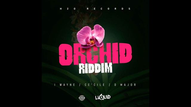 Orchid Riddim Mix (2020) I Wayne,Cecile,D Major [H20] смотреть онлайн