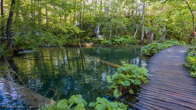 8HRS Soothing Bird Songs and Water Sounds for Relaxation - 4K Beautiful Nature Sounds - Episode #1 смотреть онлайн