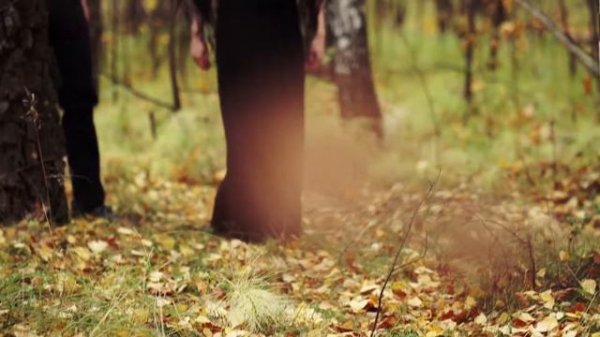 Чулпан Юсупова «Шингэн чэчэклэр»