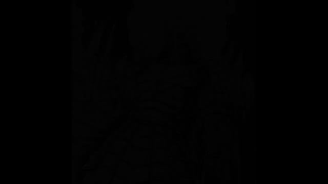 PHONK SAMPLES | MISTA PLAYA - ENEMY AND REVENGE (ACAPELLA/VOCAL SAMPLE)