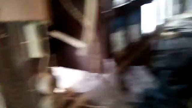 VID 20200213 125636  Сборная солянка