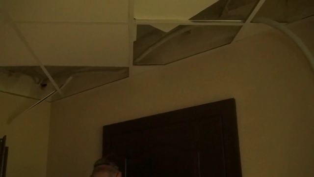 Домовенок Ремонтович