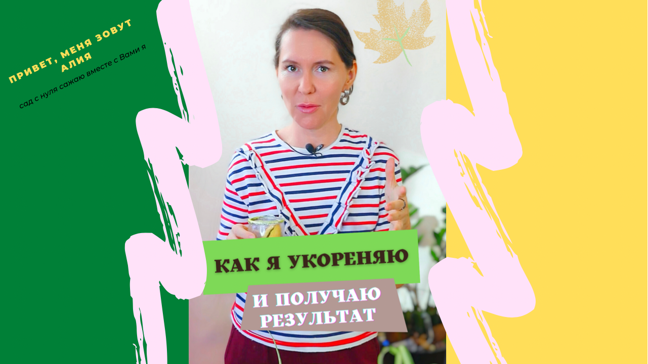 Как я укореняю растения и получаю результат
#укоренение #растения #выращивание #садовыецветы #корнев