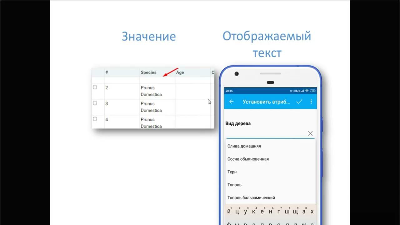 NextGIS Formbuilder – Элемент «Выпадающий список» смотреть онлайн