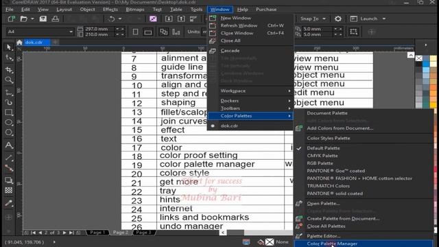 Corel draw 2017 class 117 window menu docker Urdu/Hindi смотреть онлайн