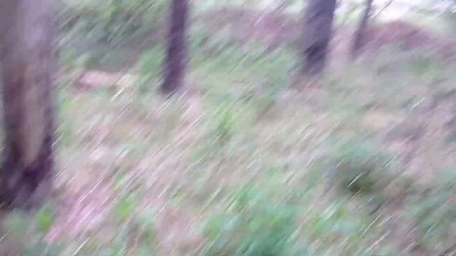 Старинный Тракт Не Отпускает.Снова находки. смотреть онлайн