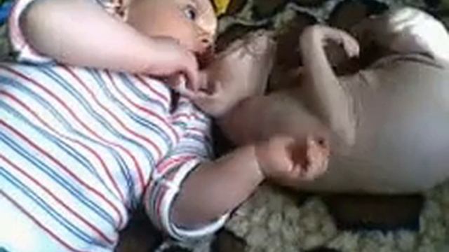 Малышка и сфинкс смотреть онлайн