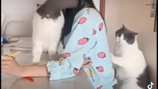 когда стал работать удаленно смотреть онлайн