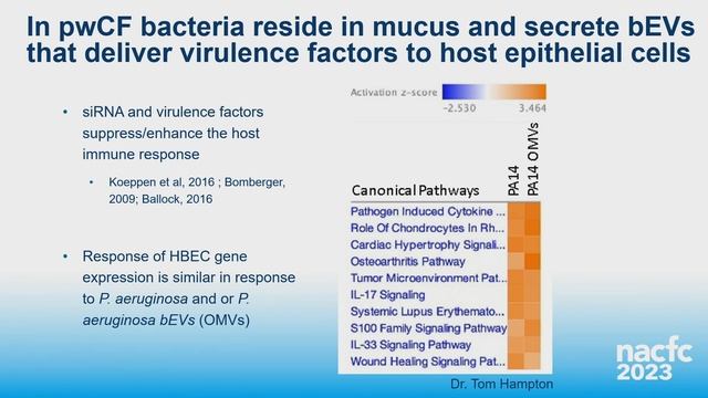 NACFC 2023 | W16: Pathogenesis of Infection смотреть онлайн