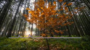 Хава Алиева - Нет войне 2023