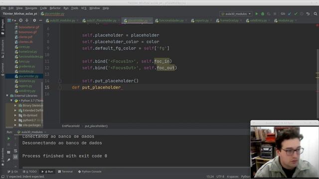 Curso tkinter - Aula 31 - Place Holder Entry - Python смотреть онлайн