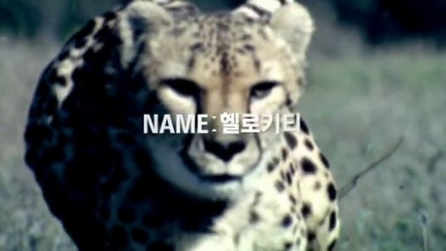 2011 Hyundai Elantra ( Avante ) Commercial смотреть онлайн