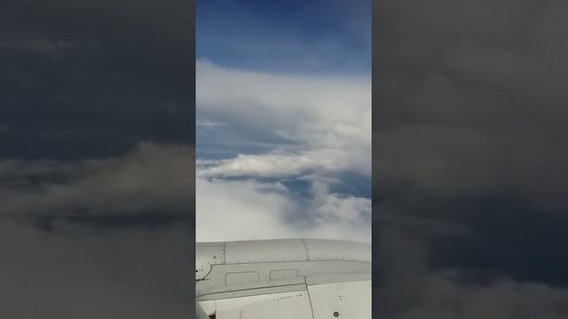 Посадка на самолёте эйр астана из новосибирска в астану смотреть онлайн