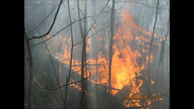 жаркое лето смотреть онлайн