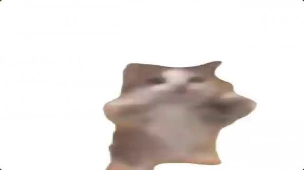 Happy Happy Happy Cat 10 Hours