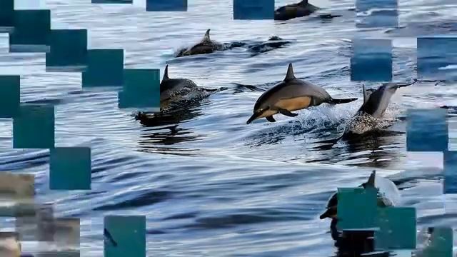 #BandOdessa  #ВсеДельфиныВУраган2  #LitalMet