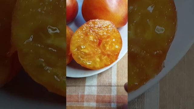 Томат Канадское наследие смотреть онлайн