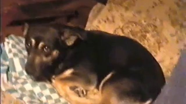 Туся смотреть онлайн