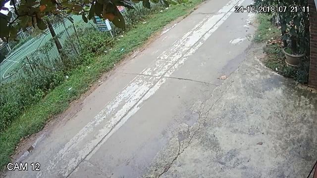 Demo Camera Nhà hàng Dahua DH-HAC-HFW1000RP-S3 смотреть онлайн