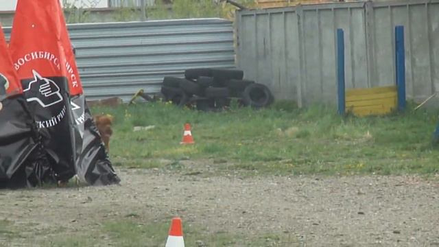 КЦ "СПАС-001" смотреть онлайн