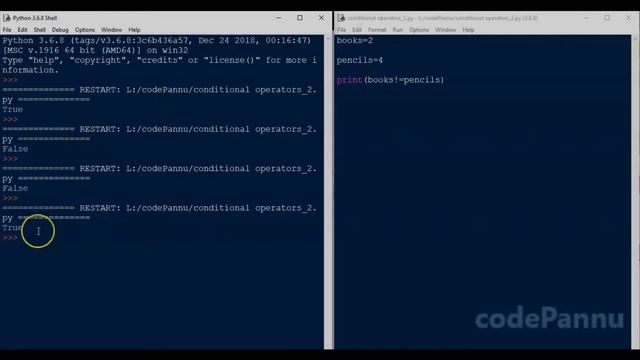 L1 - Wk 5 - V3 -Conditional operators; How to use Not Equal to operator; Python for students смотреть онлайн