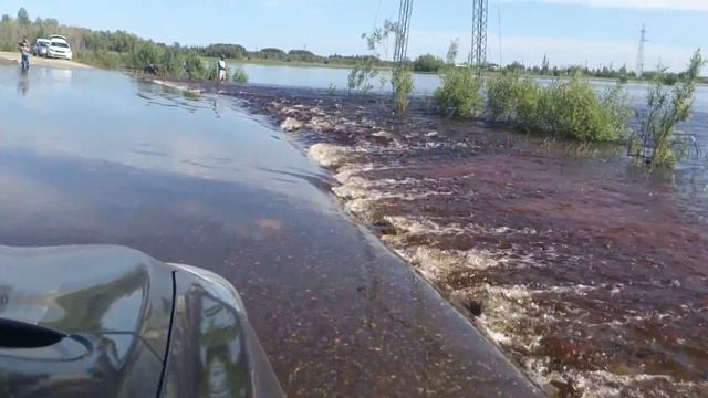 MOV 0296 смотреть онлайн