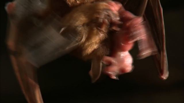 Момент - Фильм 2. Между прошлым и будущим - Документальный фильм смотреть онлайн