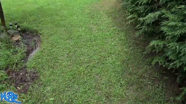 Erosion Control | How To Control Surface Water On Your Property | Flood Damage