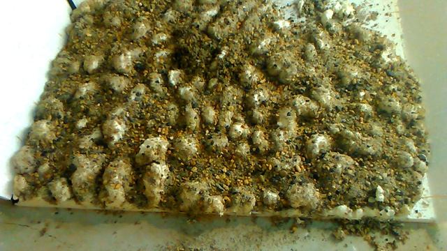 3D Задний фон для аквариума за 1000 рублей своими рук смотреть онлайн