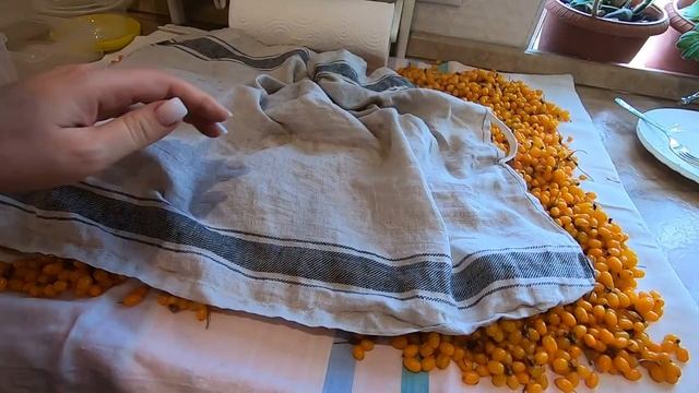 Большая заморозка сезонных продуктов на зиму! Что и как и в чем замораживаю!!! Обзор морозилки!!! смотреть онлайн