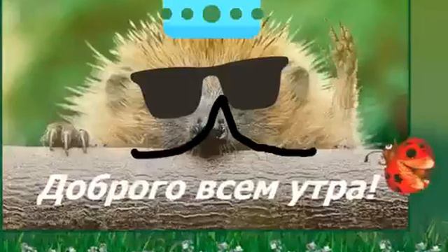 Доброго всем утра