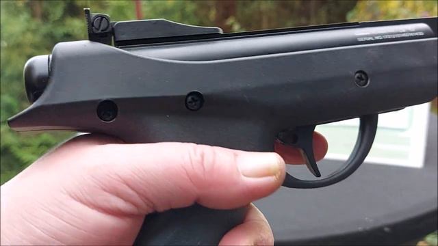 Airgun : Diana P-five/SnowPeak Artemis SP500 Analyse-Präzision-Chrono-Tips-Abzug-TrickShot By WPU