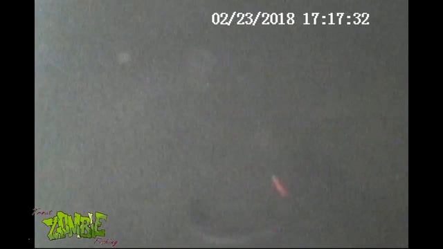 23 02 2017 Савельево Ольгово поимка форели на резину Zombie смотреть онлайн