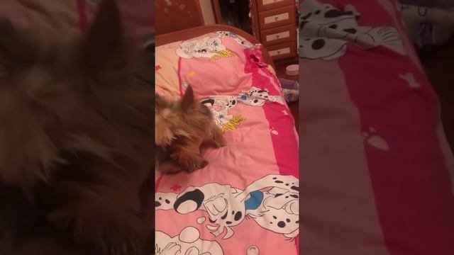 Поболтаем?)