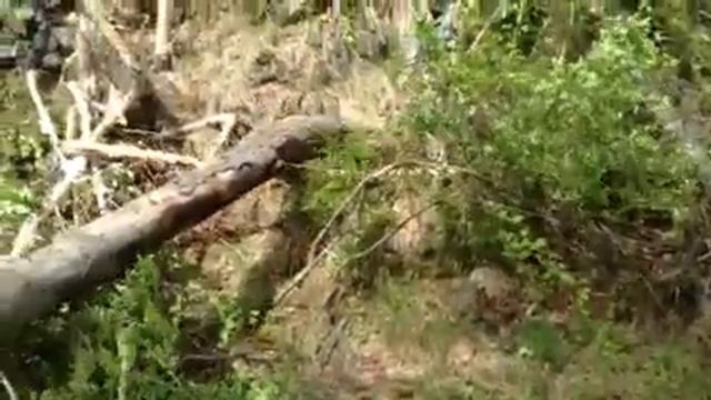 Квадроциклы Халдоми, Фестивальный, Горный 8.06.14 смотреть онлайн