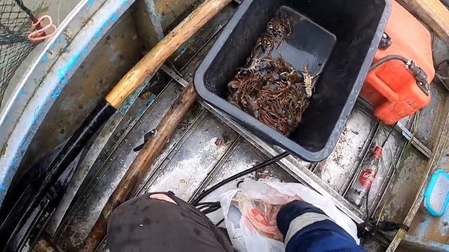 Как поймать тысячу раков Способы лова и разные раколовки смотреть онлайн
