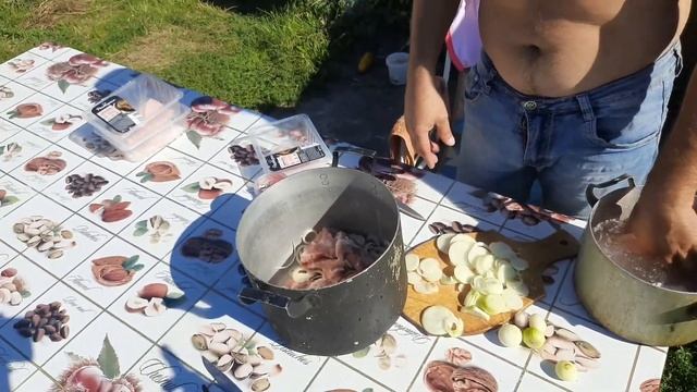 Приехали в гости блогерыТаежный туман/ готовим шашлык смотреть онлайн
