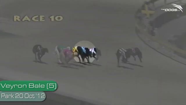 Weekly Preview Show - Chasing The Dollar 12/1/13 - Centrebet Paws of Thunder смотреть онлайн