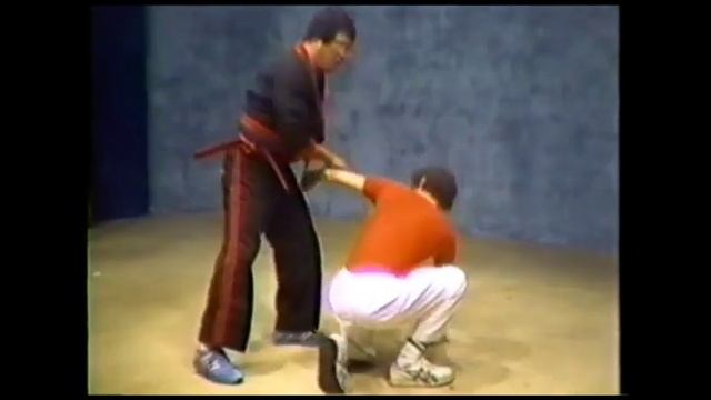 GM Remy Presas Sr. 6 COUNT DRILL смотреть онлайн