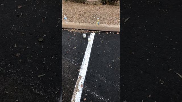 Bleach Pregnancy Test Fail смотреть онлайн