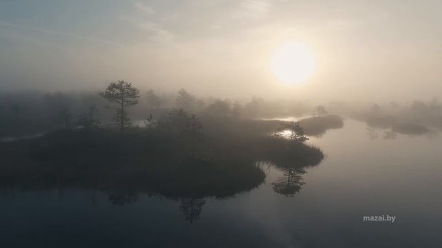 Заказник Ельня смотреть онлайн