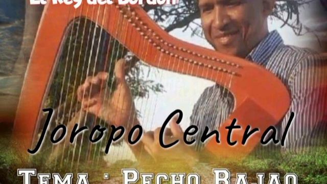 Tema : Pecho Rajao, golpe y Yaguazos instrumental . Arpa , Cuatro , Maracas y Bajo . смотреть онлайн
